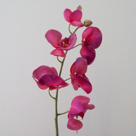 Real Touch Phalaenopsis Orchid Dark Pink 75cm Artificial Flowers